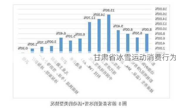 甘肃省冰雪运动消费行为