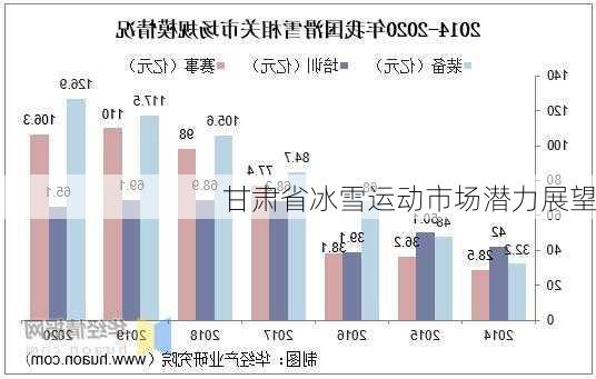 甘肃省冰雪运动市场潜力展望