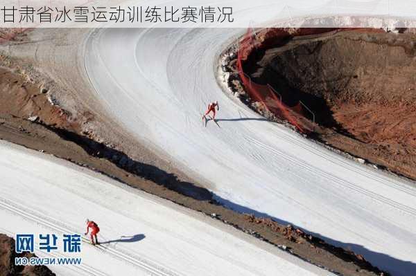 甘肃省冰雪运动训练比赛情况