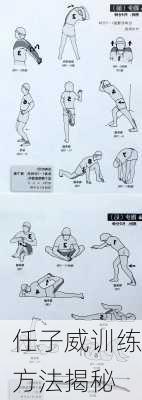 任子威训练方法揭秘