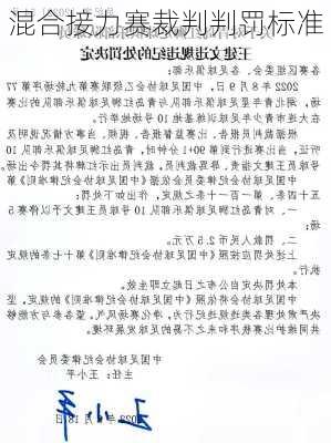 混合接力赛裁判判罚标准
