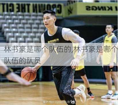 林书豪是哪个队伍的,林书豪是哪个队伍的队员