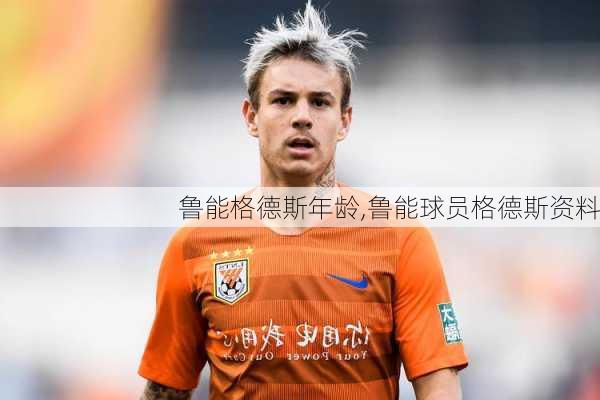 鲁能格德斯年龄,鲁能球员格德斯资料