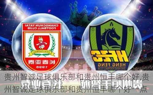 贵州智诚足球俱乐部和贵州恒丰哪个好,贵州智诚足球俱乐部和贵州恒丰哪个好一点