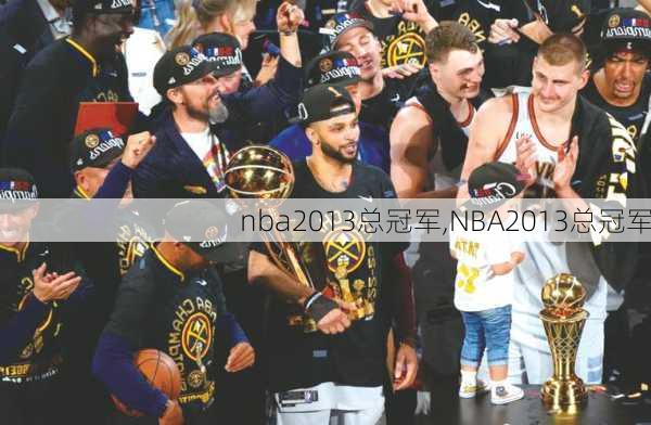 nba2013总冠军,NBA2013总冠军