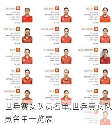 世乒赛女队员名单,世乒赛女队员名单一览表