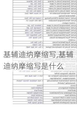 基辅迪纳摩缩写,基辅迪纳摩缩写是什么