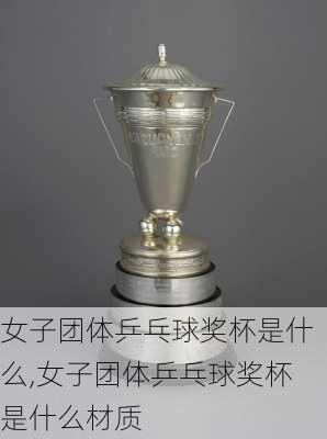 女子团体乒乓球奖杯是什么,女子团体乒乓球奖杯是什么材质
