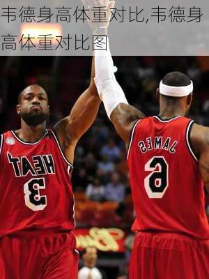 韦德身高体重对比,韦德身高体重对比图