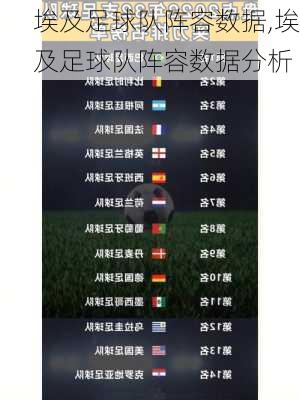 埃及足球队阵容数据,埃及足球队阵容数据分析