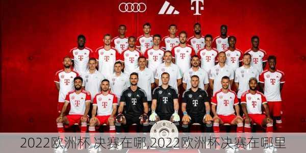 2022欧洲杯 决赛在哪,2022欧洲杯决赛在哪里
