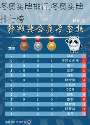 冬奥奖牌排行,冬奥奖牌排行榜