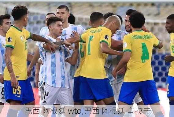 巴西 阿根廷 wto,巴西 阿根廷 乌拉圭