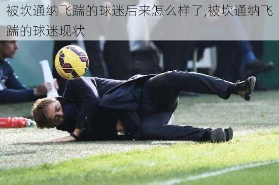 被坎通纳飞踹的球迷后来怎么样了,被坎通纳飞踹的球迷现状