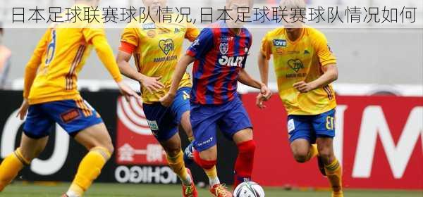 日本足球联赛球队情况,日本足球联赛球队情况如何