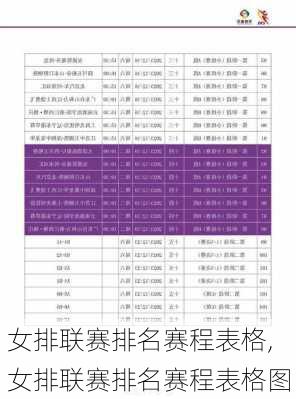 女排联赛排名赛程表格,女排联赛排名赛程表格图
