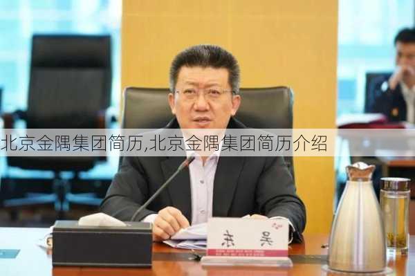 北京金隅集团简历,北京金隅集团简历介绍