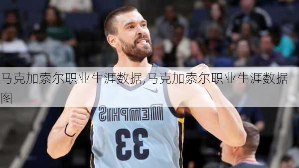 马克加索尔职业生涯数据,马克加索尔职业生涯数据图