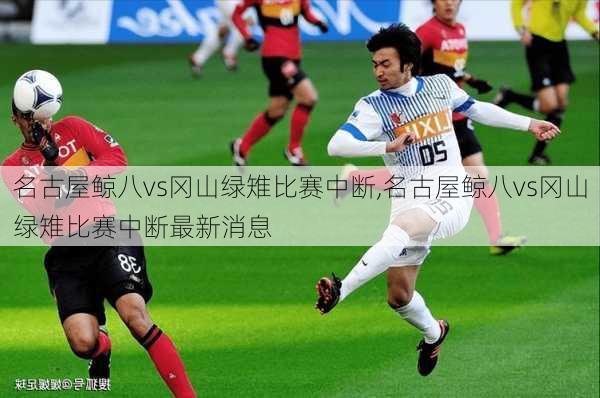 名古屋鲸八vs冈山绿雉比赛中断,名古屋鲸八vs冈山绿雉比赛中断最新消息