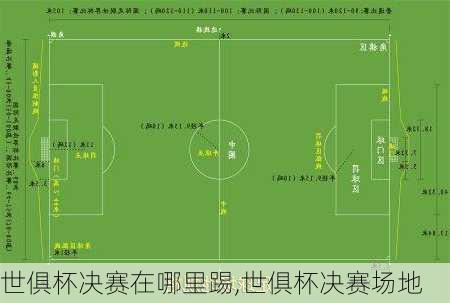 世俱杯决赛在哪里踢,世俱杯决赛场地