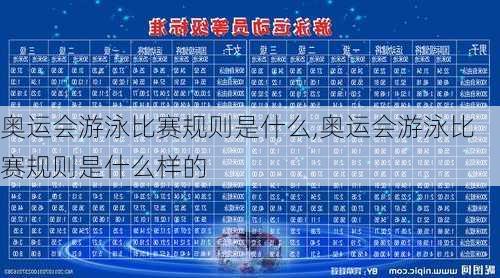 奥运会游泳比赛规则是什么,奥运会游泳比赛规则是什么样的