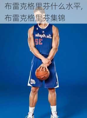 布雷克格里芬什么水平,布雷克格里芬集锦