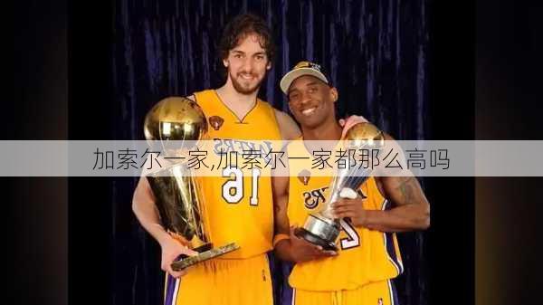 加索尔一家,加索尔一家都那么高吗