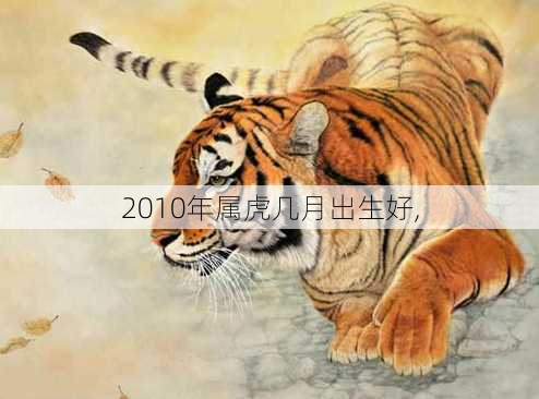 2010年属虎几月出生好,