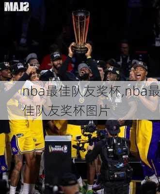 nba最佳队友奖杯,nba最佳队友奖杯图片