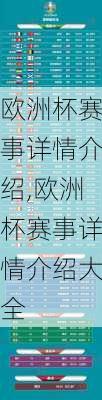 欧洲杯赛事详情介绍,欧洲杯赛事详情介绍大全