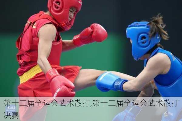 第十二届全运会武术散打,第十二届全运会武术散打决赛
