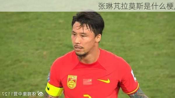 张琳芃拉莫斯是什么梗,
