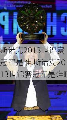斯诺克2013世锦赛冠军是谁,斯诺克2013世锦赛冠军是谁啊
