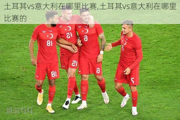 土耳其vs意大利在哪里比赛,土耳其vs意大利在哪里比赛的