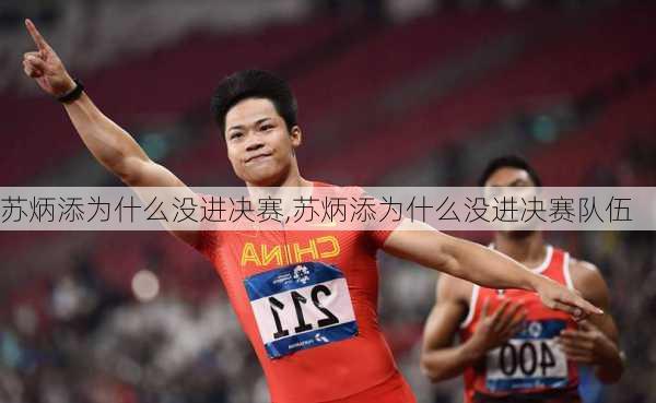 苏炳添为什么没进决赛,苏炳添为什么没进决赛队伍
