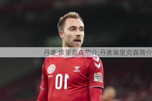 丹麦 埃里克森简介,丹麦埃里克森简介