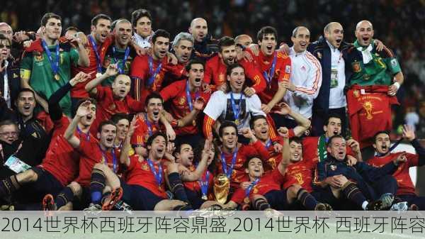 2014世界杯西班牙阵容鼎盛,2014世界杯 西班牙阵容