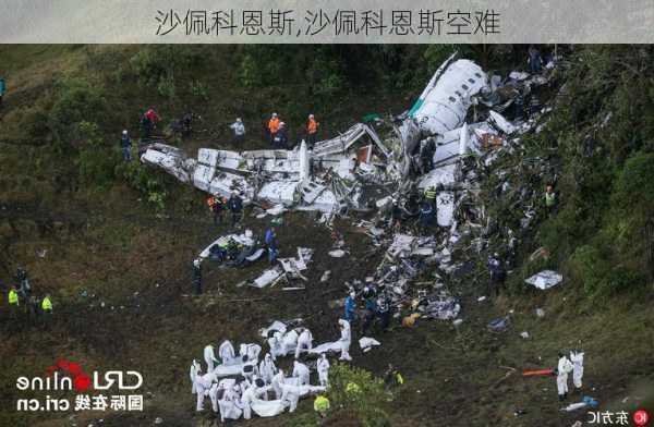 沙佩科恩斯,沙佩科恩斯空难