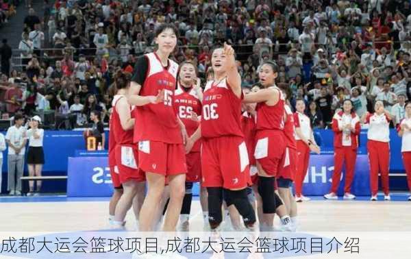 成都大运会篮球项目,成都大运会篮球项目介绍