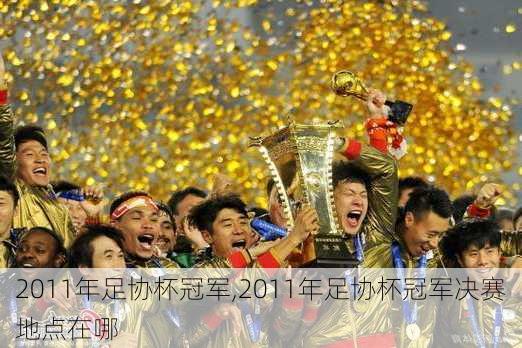2011年足协杯冠军,2011年足协杯冠军决赛地点在哪