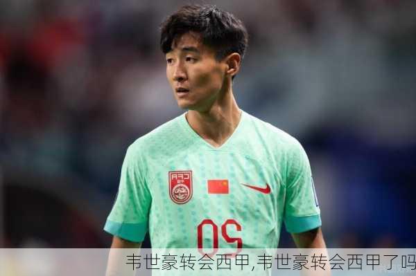 韦世豪转会西甲,韦世豪转会西甲了吗