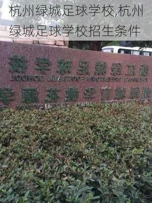 杭州绿城足球学校,杭州绿城足球学校招生条件