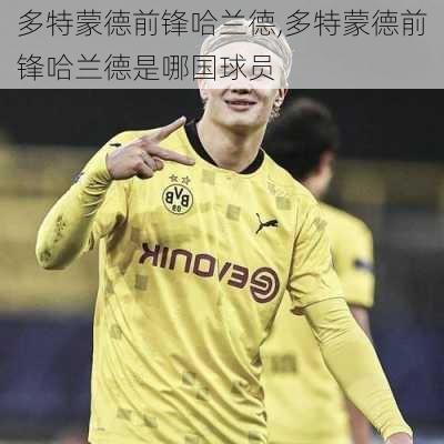 多特蒙德前锋哈兰德,多特蒙德前锋哈兰德是哪国球员
