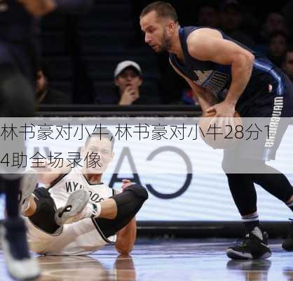 林书豪对小牛,林书豪对小牛28分14助全场录像