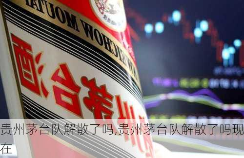 贵州茅台队解散了吗,贵州茅台队解散了吗现在