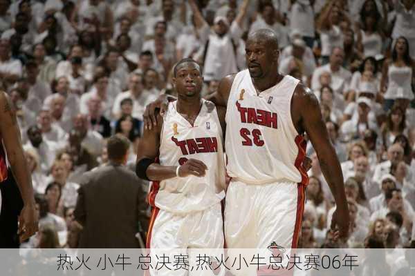 热火 小牛 总决赛,热火小牛总决赛06年