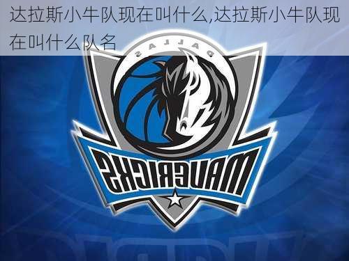 达拉斯小牛队现在叫什么,达拉斯小牛队现在叫什么队名