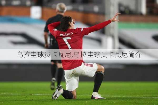 乌拉圭球员卡瓦尼,乌拉圭球员卡瓦尼简介