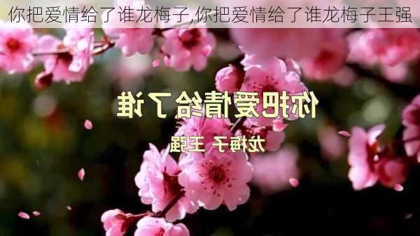 你把爱情给了谁龙梅子,你把爱情给了谁龙梅子王强