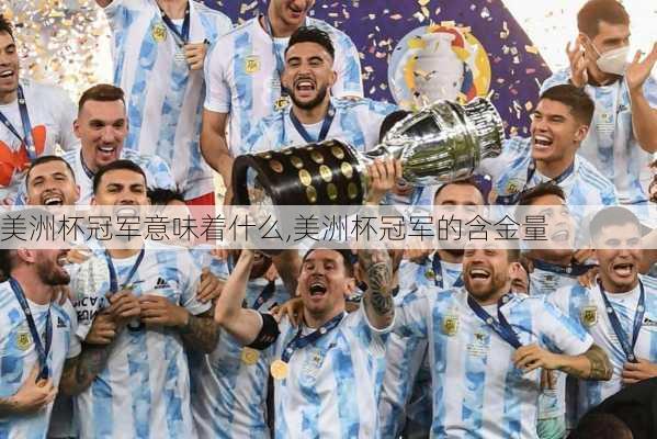 美洲杯冠军意味着什么,美洲杯冠军的含金量